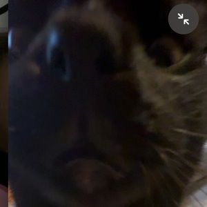 Meet your Posher, Chloe